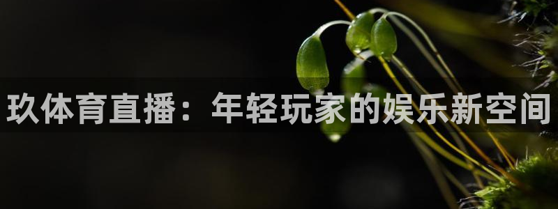 51视频在线直播nba：玖体育直播：年轻玩家的娱乐新空间