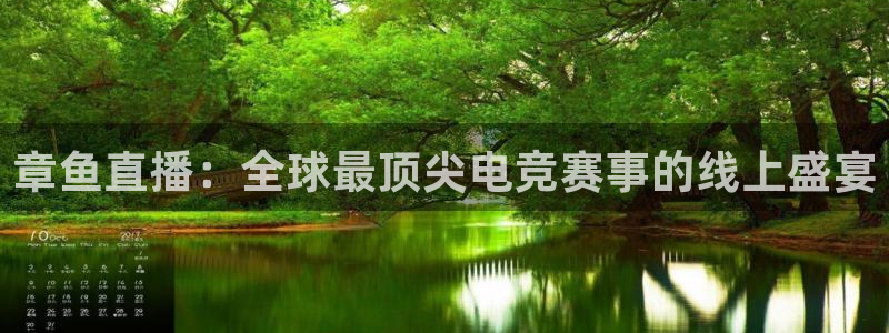 51视频在线直播nba：章鱼直播：全球最顶尖电竞赛事的线上盛宴