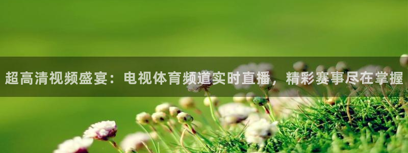 51视频在线直播nba：超高清视频盛宴：电视体育频道实时直播，精彩赛事尽在掌握