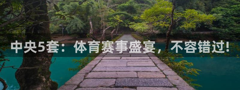 51视频在线直播nba：中央5套：体育赛事盛宴，不容错过!