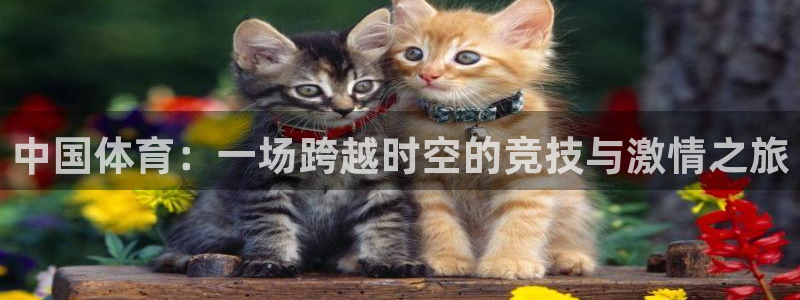 51视频在线直播nba：中国体育：一场跨越时空的竞技与激情之旅