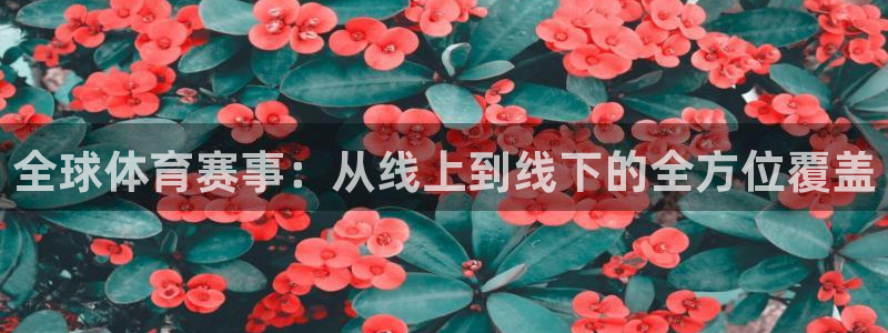 51视频在线直播nba：全球体育赛事：从线上到线下的全方位覆盖
