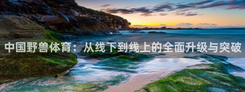51视频在线直播nba：中国野兽体育：从线下到线上的全面升级与突破