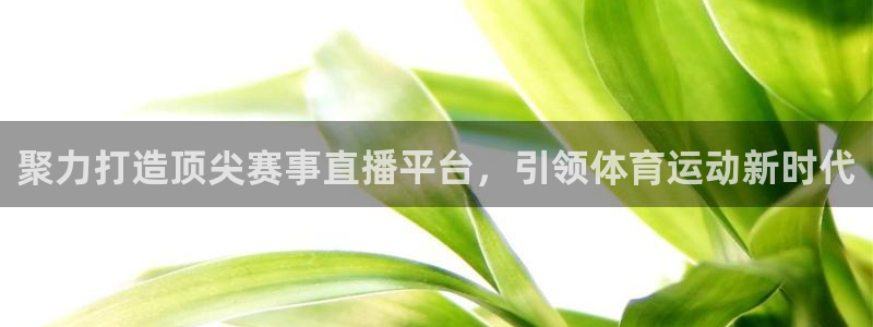 51视频在线直播nba：聚力打造顶尖赛事直播平台，引领体育运动新时代